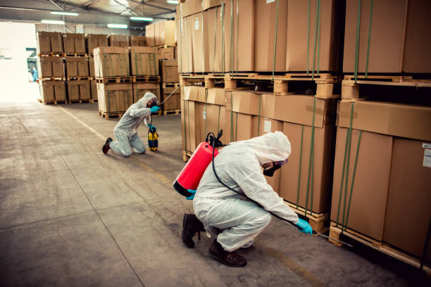 Best Exterminator Services  in Seabrook, SC